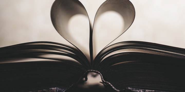 LuV - Lesen und Verstehen
